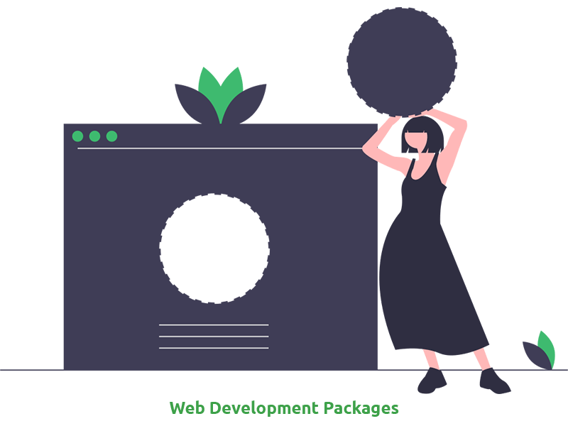 Our Web Development Packages